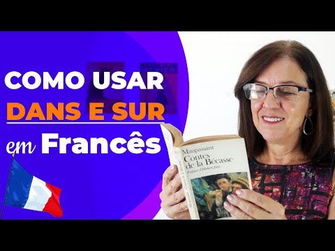 Como usar as preposições DANS e SUR em francês
