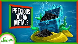 How the Ocean Floor Got Filled with Riches