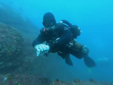 Laje de Santos & Calhaus 2024 06 09