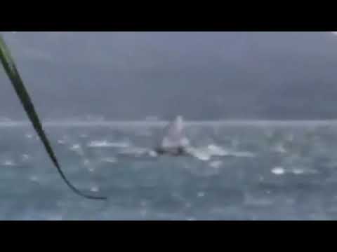 Oz Goose   sailing fast upwind in waves and wind