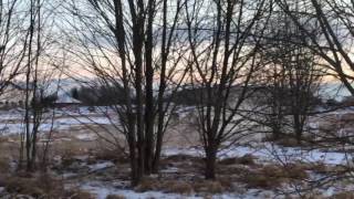 BMW 320i winter drift in Latvia