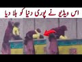 Today Viral Video | Today Trending Video | Today Viral News