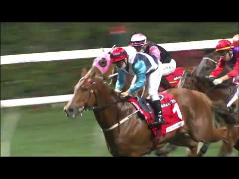 22/12/2021 (279) Igniting - Matthew Poon