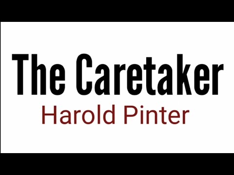 The Caretaker by Harold Pinter in hindi summary