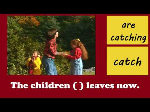Autumn/Fall. Present Simple or Present Continuous game
