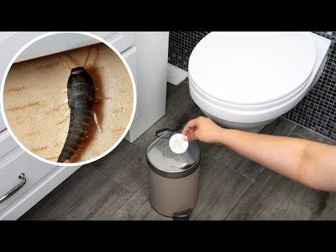 Metti un batuffolo di cotone sotto il cestino della spazzatura del bagno e i pesciolini d'argento...