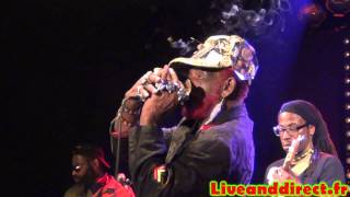 LEE PERRY & MAD PROFESSOR & THE ROBOTIKS @ VAUREAL Le Forum 18 02 2012