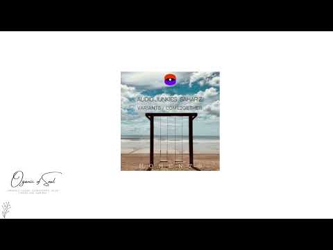 Sahar Z & Audiojunkies - Come2gether (Original Mix) Moments