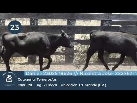 Lote M Y H - María Grande - Entre Ríos