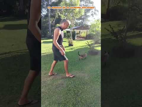 Bernardo de Irigoyen Misiones Argentina - Camping Belapark