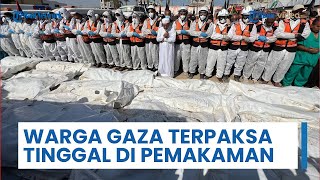 Warga Gaza Terpaksa Tinggal di Pemakaman akibat Rumah Hancur Dihantam Serangan Israel