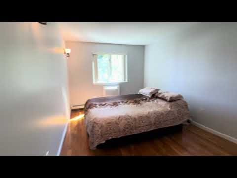 video 1