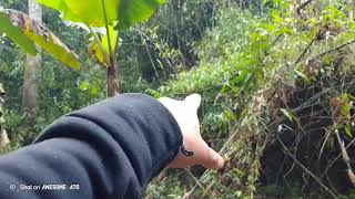 ສະບາຍດີປີໃໝ່ມາຈອບເບິ່ງນົກບ່ອນເກົ່າ