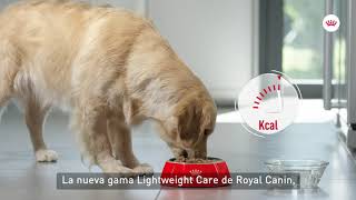 Royal Canin Light Weight Care - Mantener un peso saludable anuncio