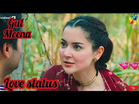 sang e mah status | gul meena and hikmat status | love status
