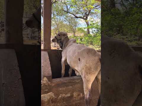 23 de febrero 2026 están en Bolivar la unión