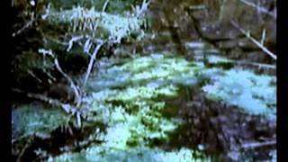 Mirror Stream part 2 ( music by Klaus Schulze - Crystal Lake part 2)