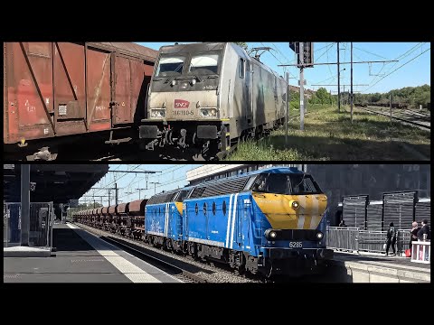 Trains at Tubize & Clabecq Station (4K) 09-05-25