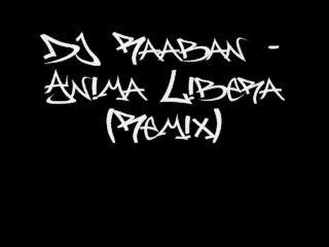 DJ Raaban - Anima Libera (remix)