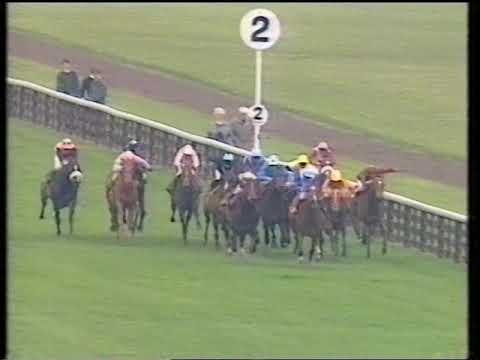 1994 Hambleton Rated Handicap