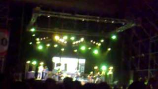 Madera de colleja Celtas cortos Torrejon de Ardoz