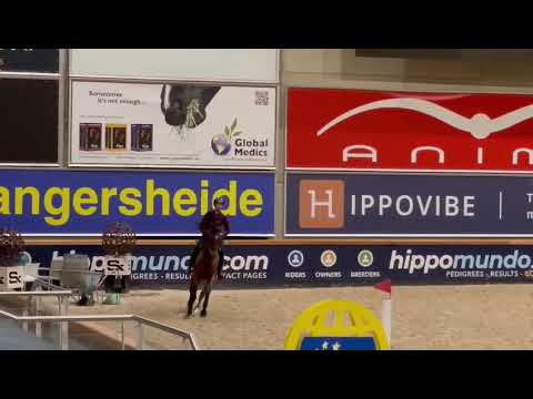 Video Solid Girl Z 16-02-2022