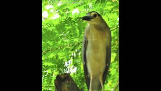 Download lagu Sendiri Lagi - Dahlan Zainudin.wmv mp3 Download lagu Sendiri Lagi - Dahlan Zainudin.wmv mp3