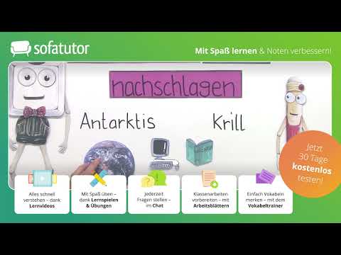 Wie liest man einen Sachtext? einfach erklärt – Deutsch 3. & 4. Klasse