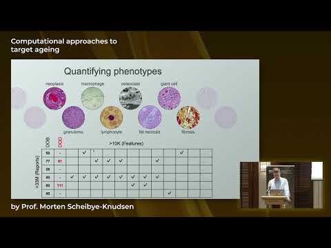 Prof Morten Scheibye-Knudsen: Computational approaches to target ageing