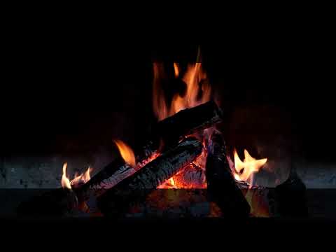 NormBreäker - Alive (Lyrics Video)