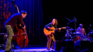 Ani DiFranco - Spider (Live audio)