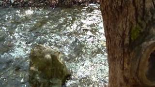 preview picture of video 'Cool Summer Cyprus Walks 2011 - Troodos walk in Shaded Platy Valley'