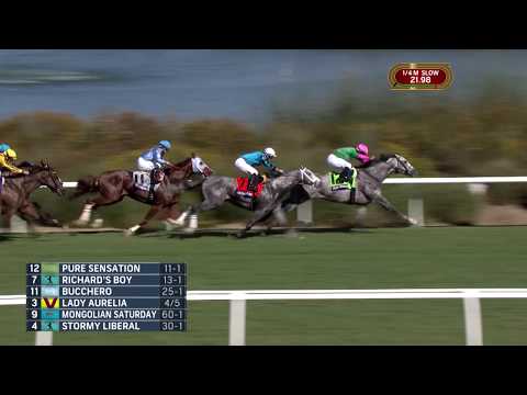 2017 Breeders' Cup Turf Sprint - Stormy Liberal