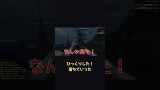 敵海賊の乗り込み方がおかしいｗ【ホラフキン】 #Shorts