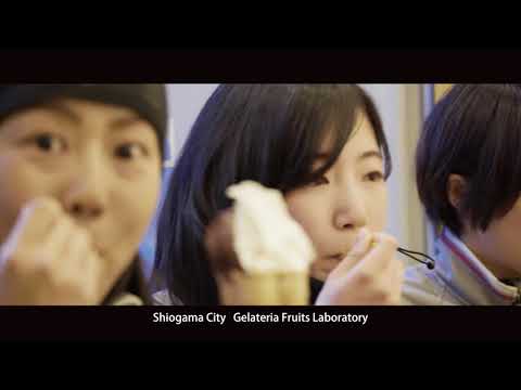 Cycling to Matsushima Bay Area(English,For Women Cyclist)