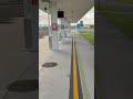 Cairns Domestic pick up instructions