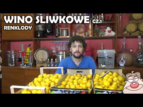 Słodkie renklody - Wino Śliwkowe część 1 - przepis