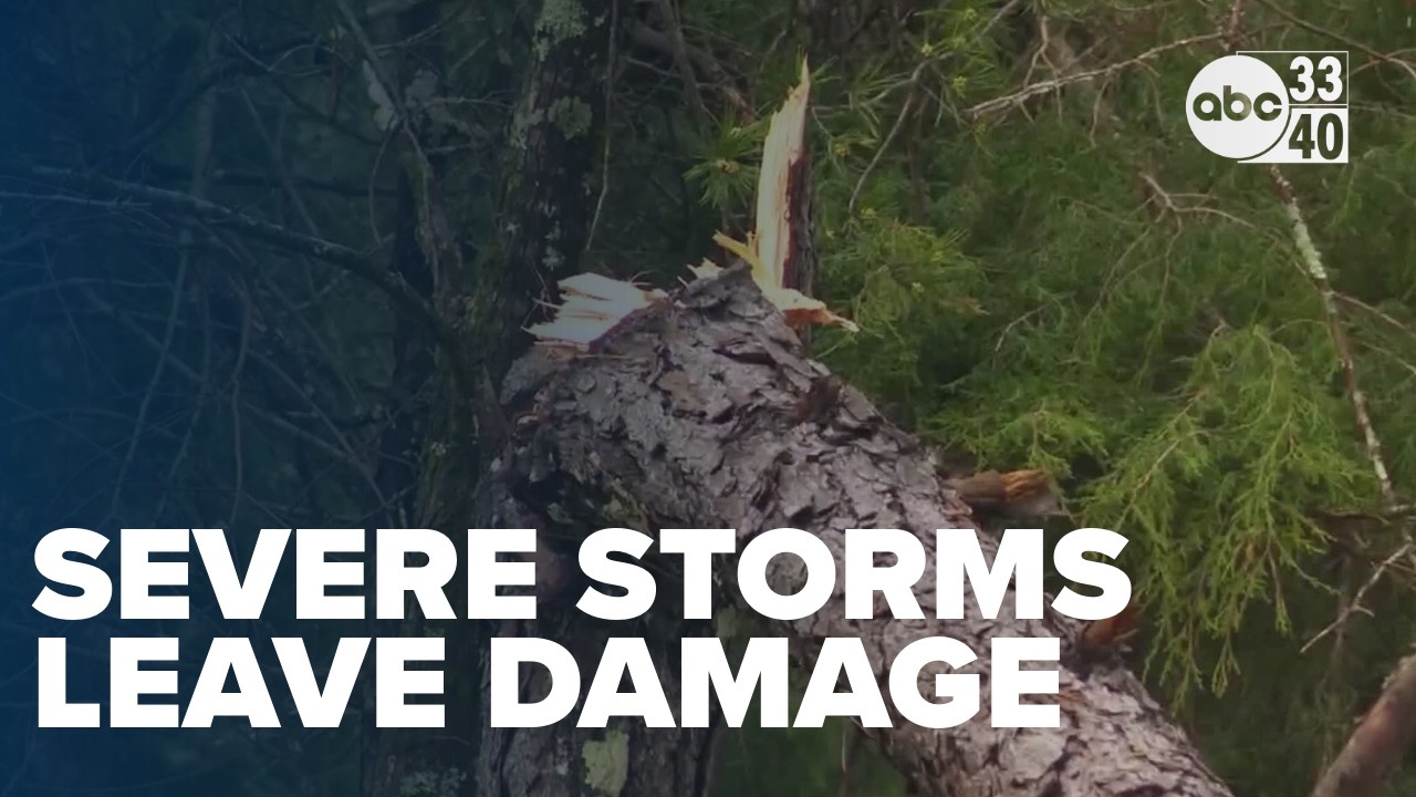 Severe storms leave behind damage in central Alabama