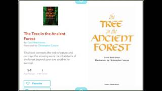 The Tree in the Ancient Forest