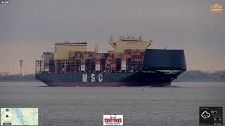 MSC ADELE & EVER ATOP passieren die ElbCam | Doppel-Highlight auf der Elbe