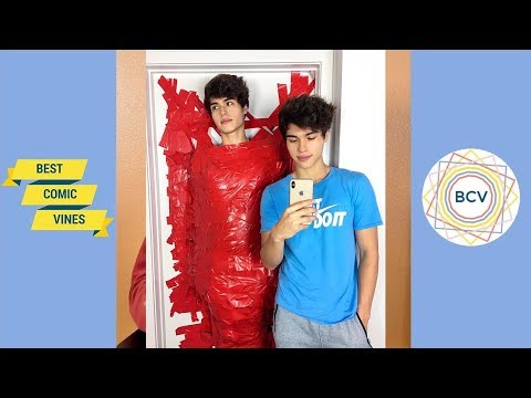 Funniest Alan & Alex Stokes  Instagram Videos | Funny Videos