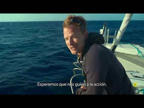 Tráiler Delfines de Cerca con Bertie Gregory [WEB-DL] 2025