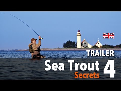 Sea Trout Secrets 4 Fly Fishing • Trailer