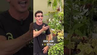 V&iacute;deo do produto