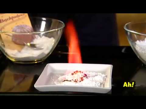 Wissen macht Ah!  Tiere﻿ suchen ein Zuhause