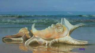 SORELLA TERRA - Laura Pausini