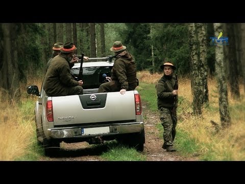 Darz Bór odc. 79 - II Wielkie Łowy Borów Dolnośląskich cz. 2