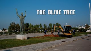 The Greek Smile -The Olive Tree (exclusive preview)