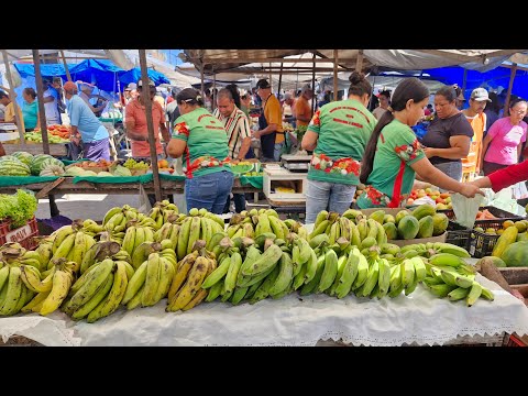 BETO DA VIOLA  FEIRA DE SALOÁ PERNAMBUCO