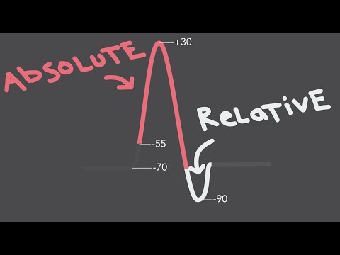 image-How long does the refractory period last in a neuron?